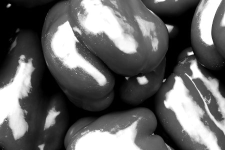 Corvallis, United states, Macro