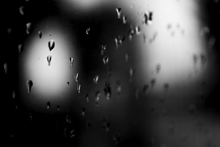 Rain drop, Window, Drop photo