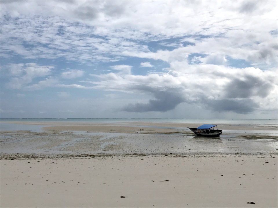 Pongwe beach hotel, Pongwe, Tanzania