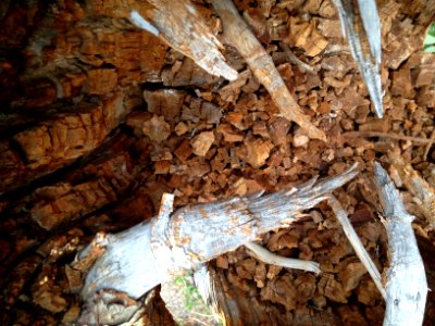 Forest rd 720, Buford, Wy 82052