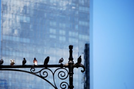 New york, United states, Detalle