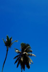 Las terrenas, Dominican republic