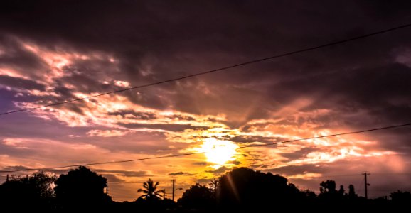 Trees, Sun, Clouds