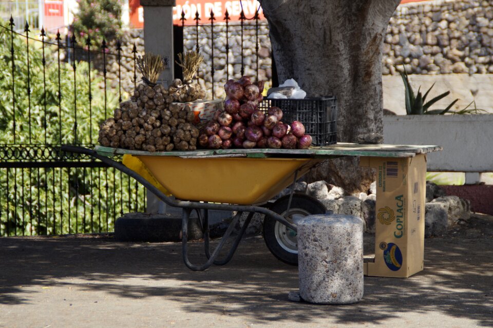 Street vending south onions