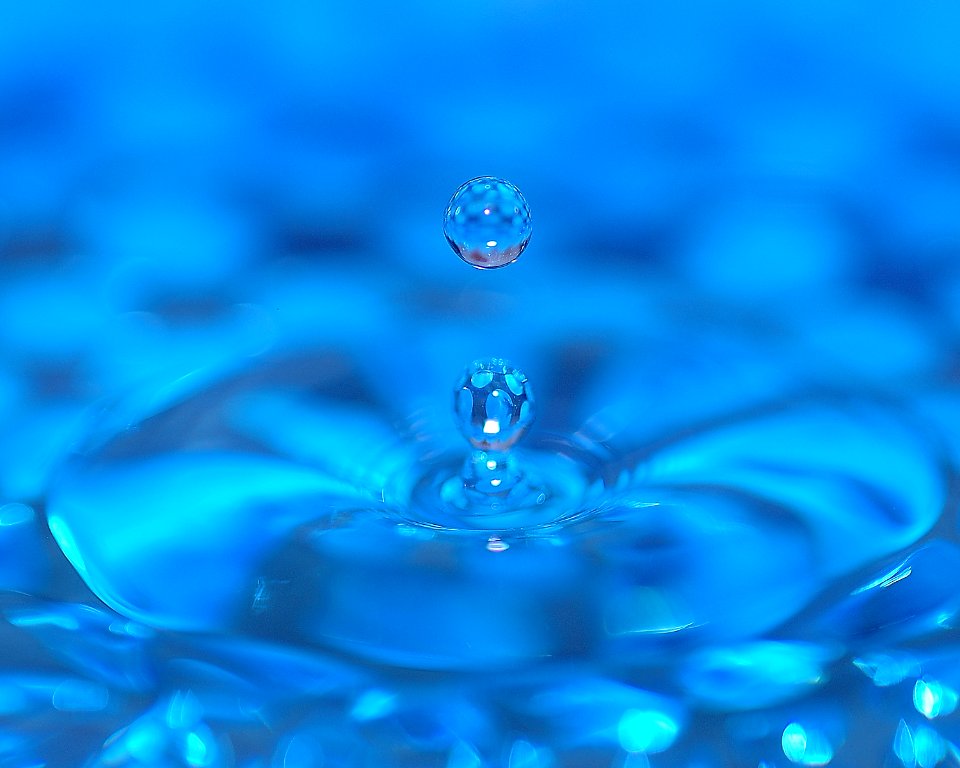 Sequim, United states, Macro