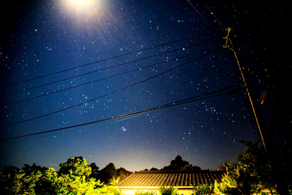 Yakushima, Japan