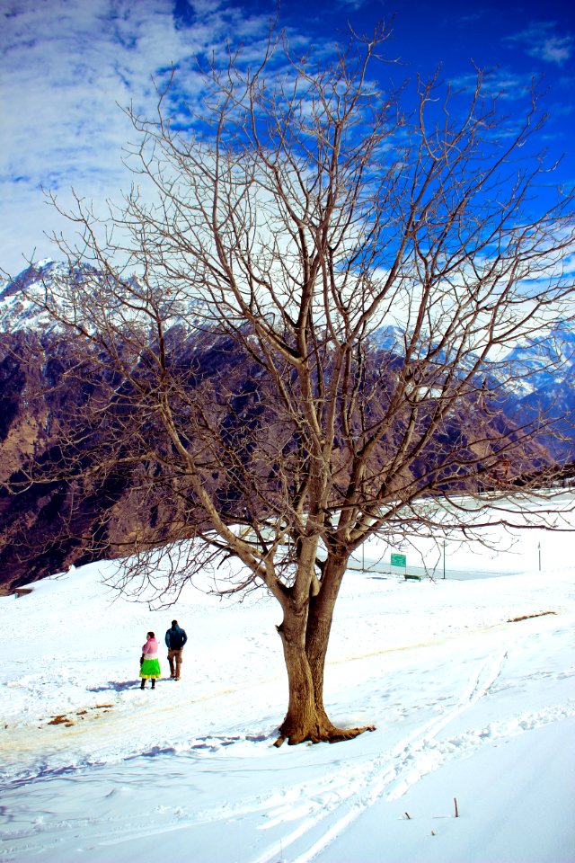 Auli, India, Uttarakh