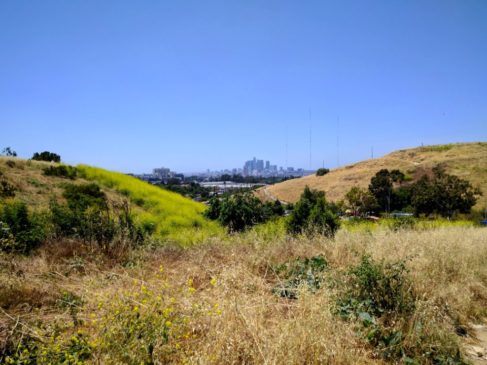 Los angeles, Northeast los angeles, California