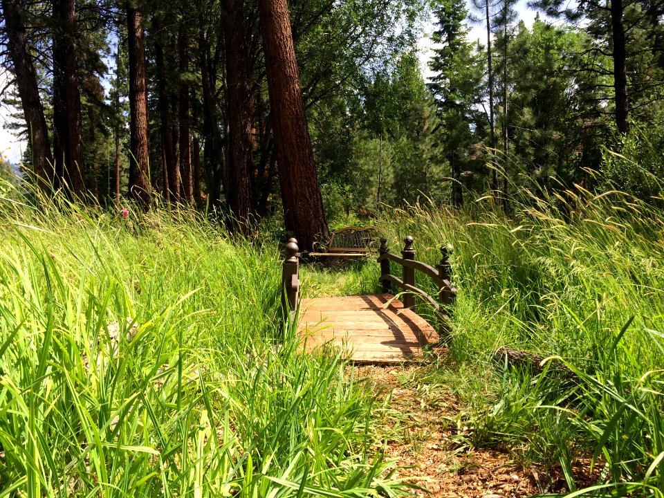 929 northwood blvd, Incline village, Nv 89451