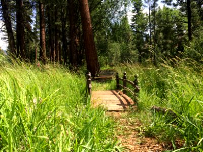 929 northwood blvd, Incline village, Nv 89451