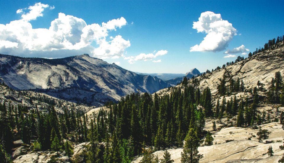 landscape photography of mountain with forest