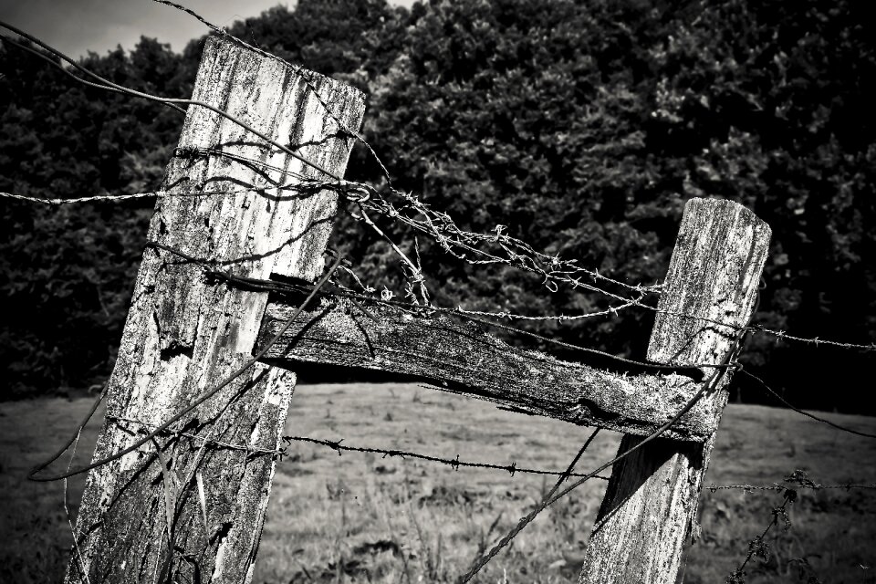 Fence weathered nature