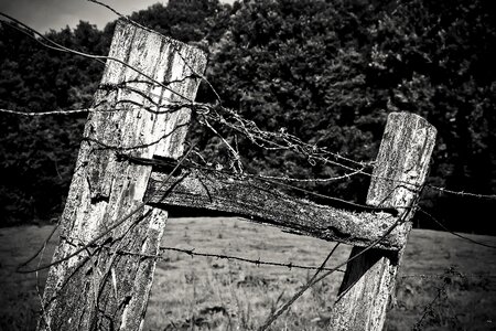 Fence weathered nature
