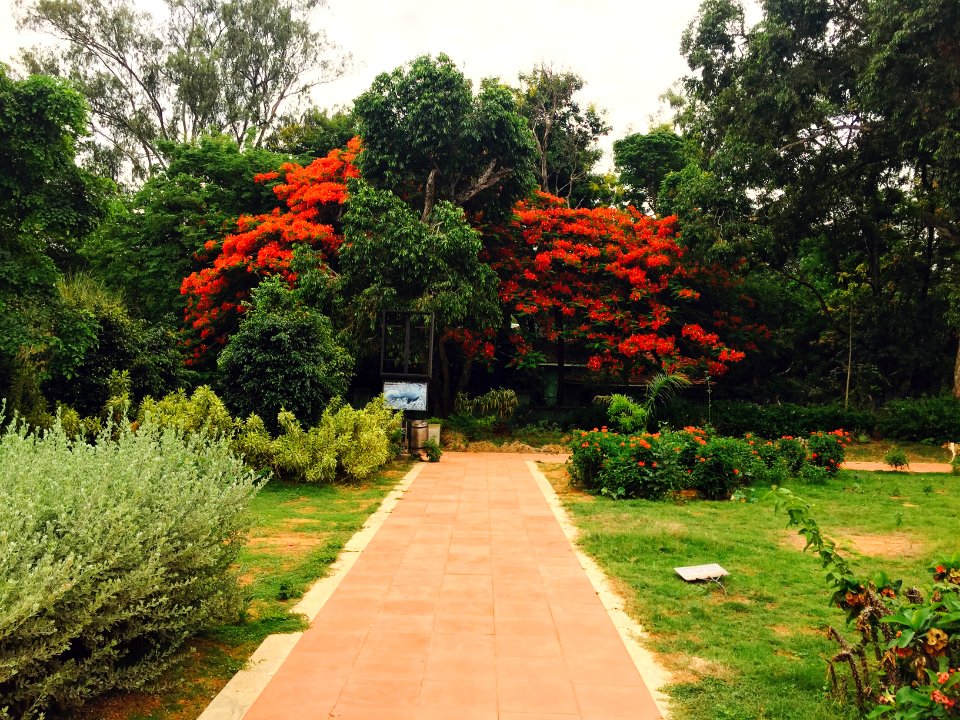 Bengaluru, India, Bannerghatta national park bmtc bus depot