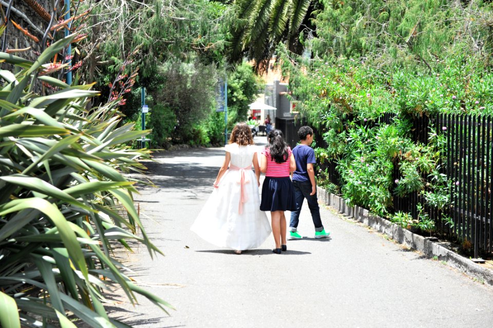 Restaurante jardn canario, Tarifa, Spain