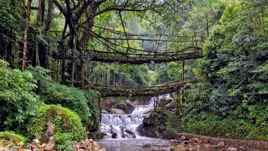 Waterfall, Forest, Jungle photo