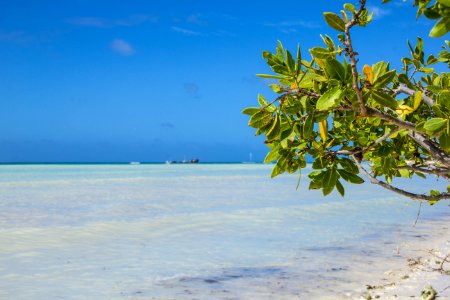 Aruba, Relax, Blue