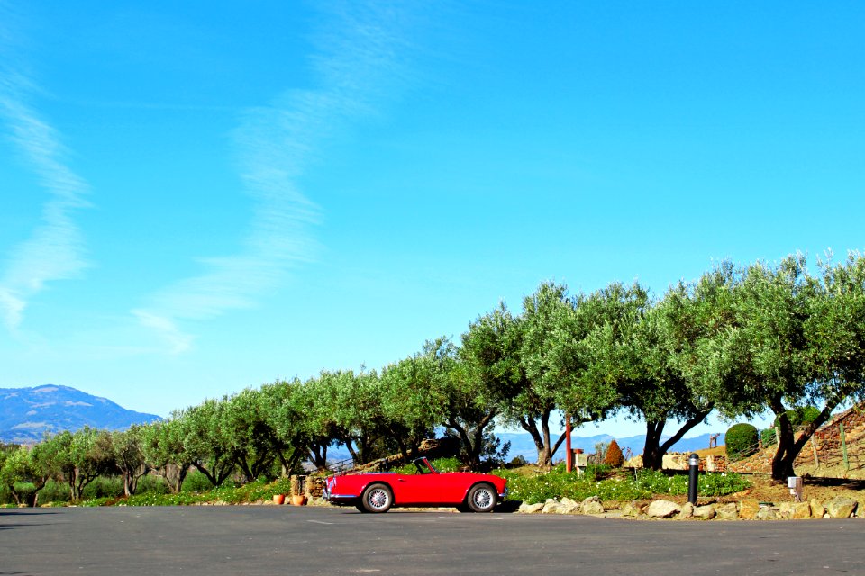 Viansa sonoma, Sonoma, United states