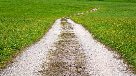 Landscape way meadow pasture photo