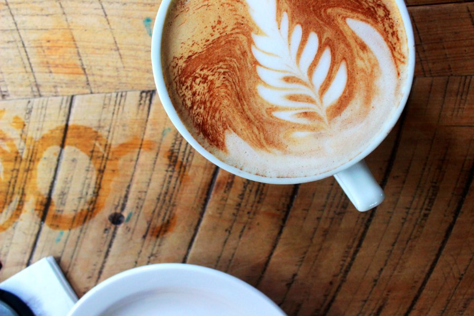 Frothy monkey, Nashville, United states