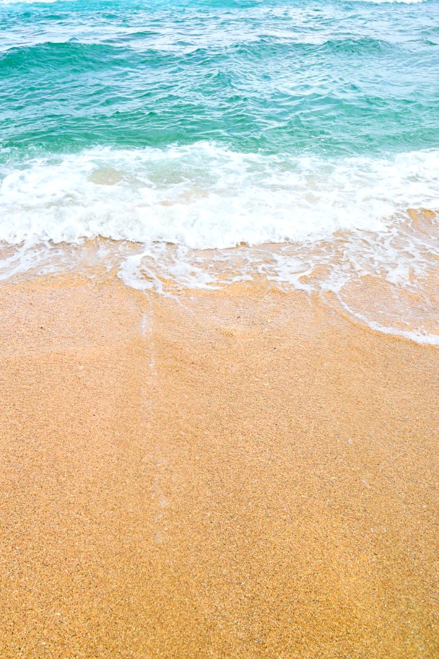 Punta uva, Costa rica, Sealove
