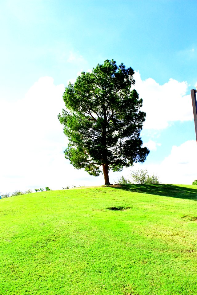 Freestone district park, Gilbert, United states