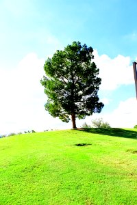 Freestone district park, Gilbert, United states