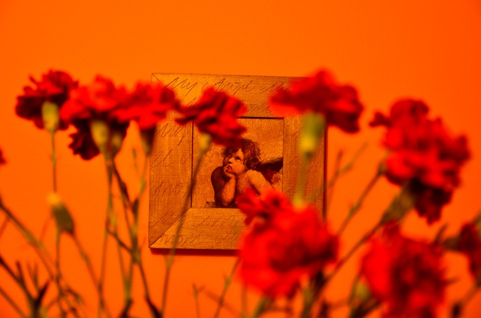 Kindness, Melancholy, Orange