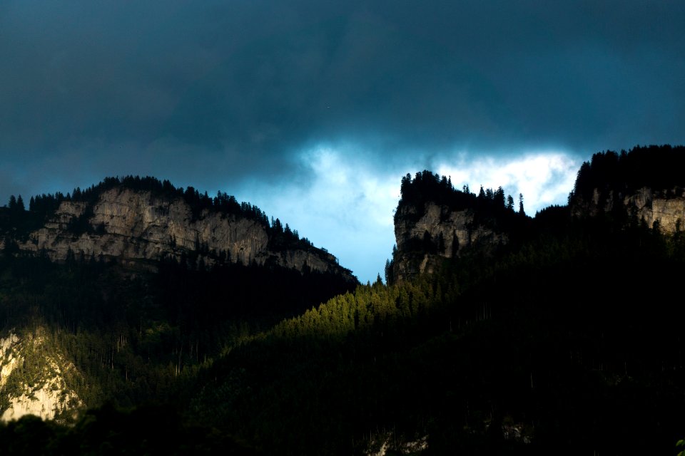 Hohenems, Austria, Forest