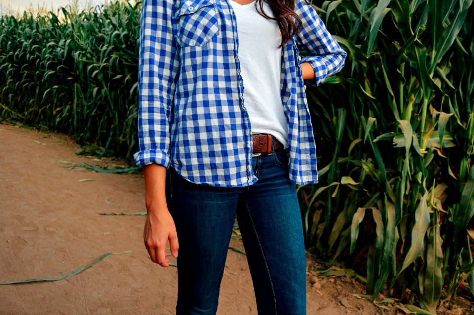 Cornfield, Field, Corn
