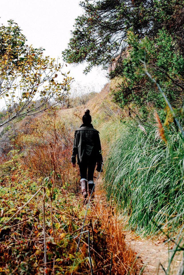 Branches, Army jacket, Green jacket