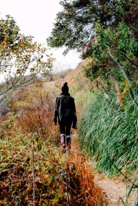 Branches, Army jacket, Green jacket