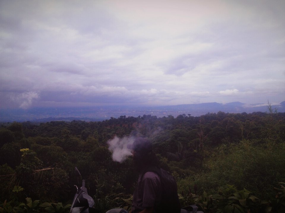 Indonesia, Forest, Moment