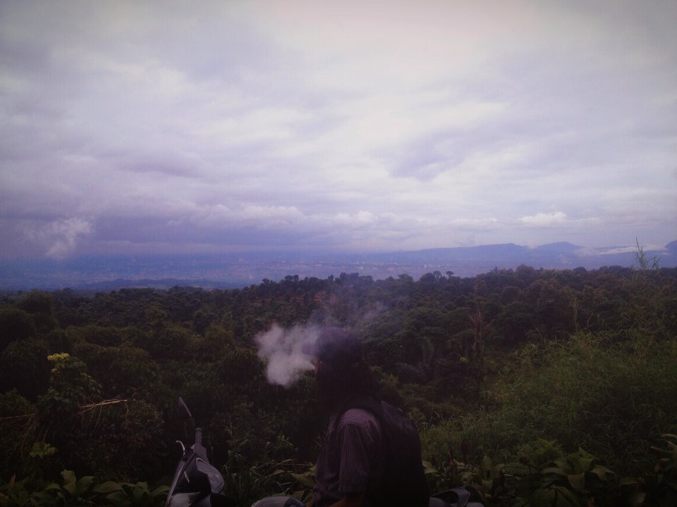 Indonesia, Forest, Moment photo