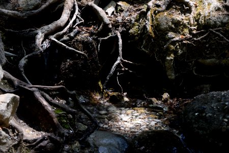 Seven springs, Greece, Roots