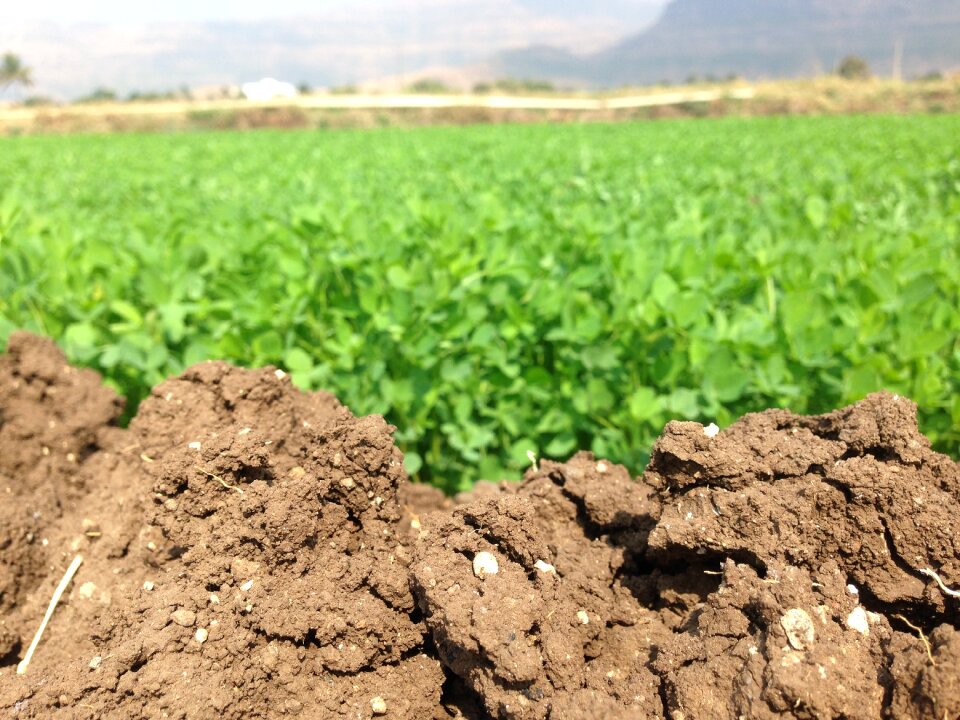 Farm soil farm field