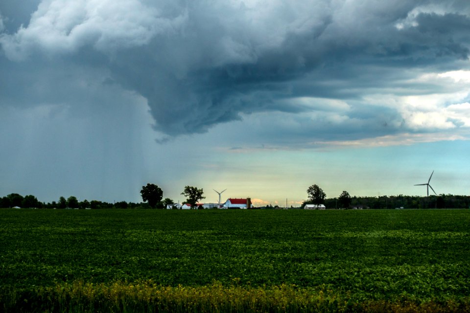 Brantford, Canada, Scape