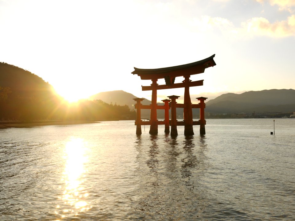 Torii Gate, Japan during day