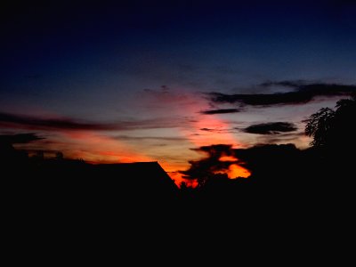 Pink, Morning, Sunrise