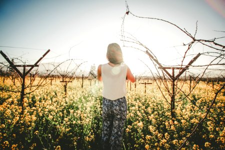 woman standing on ground and surrounded by flowers photo