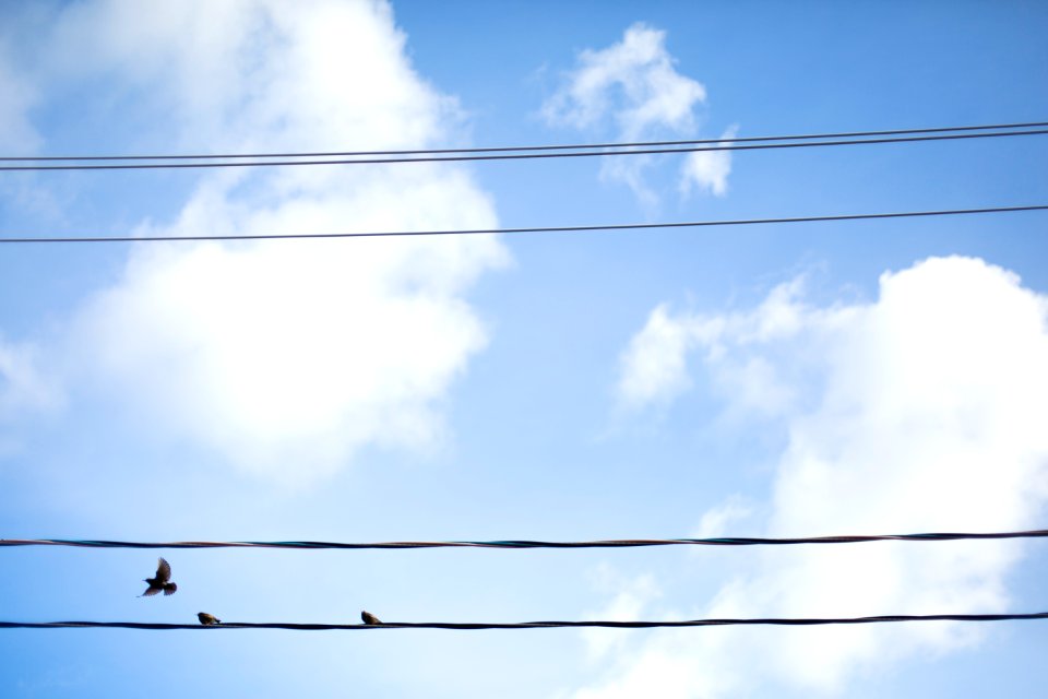 Toronto, Canada, Wire