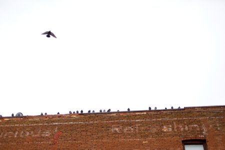 Toronto, Canada, Sky