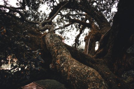 Iammrahmet, Outdoor, Photography