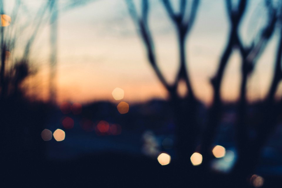 Dallas, Forest lane, United states