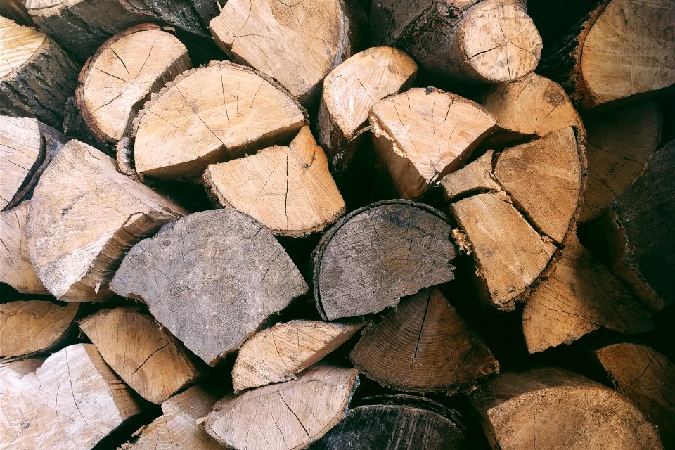 Split wood, Firewood, Trees