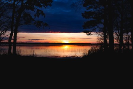 Spring, Forest, Sunset