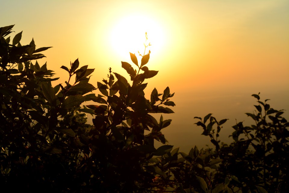 Agumbe, India, Sun