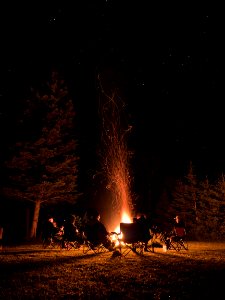 Stars, Campfire, Forest