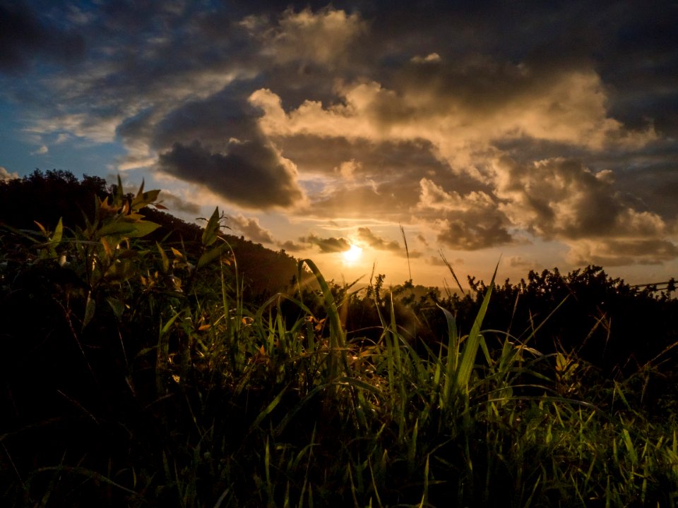 Sunrise, Forest, Clouds
