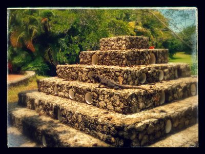 Cozumel, Carretera costera sur, 77600 qr photo